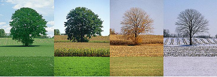 《杀手3》VR版将独占登录Meta Quest 3平台 宣传预告放出